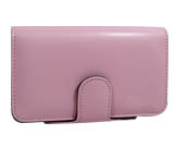 DSi